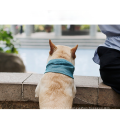 Pet Summer Cold pescoço lenço francês Bulldog Dog Cat Conclusão Triângulo Triângulo Toalha de gelo no atacado